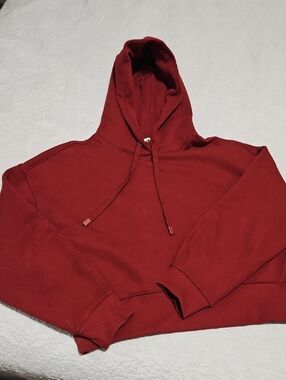 Everlane Brick Red Hoodie Purchased Winter 2025